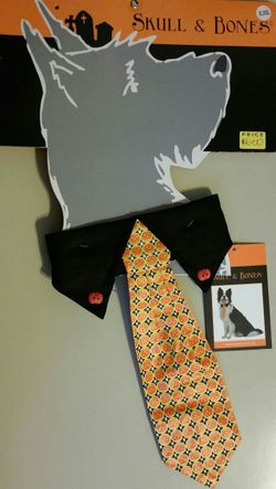 Pumpkin Pet Tie - XL/XXL