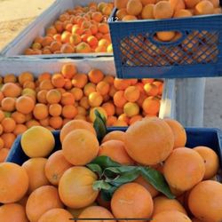 Gaviotas Farm Now Available 