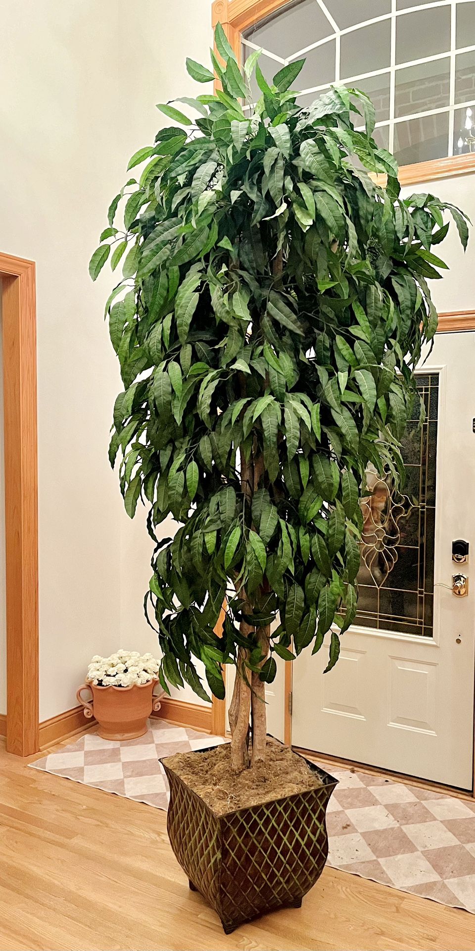 Plant Faux 10ft