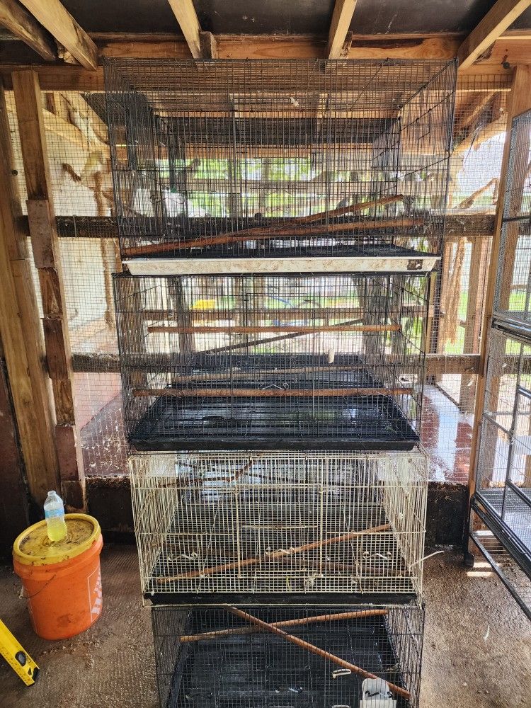 Cages Bird