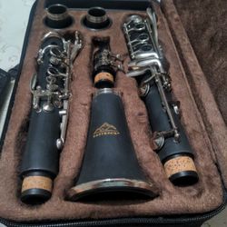East Rock Clarinet Used Excellent Condition.