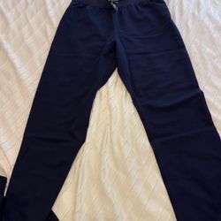 FIGS Large High Waisted Livingston Pants 