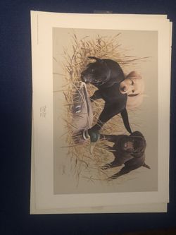 Famous Labrador Print
