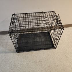 Dog Care 