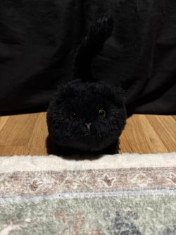 Jellycat Black Kitten Caboodle