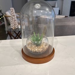 West Elm Home Decor Glass Display Case