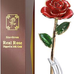 24k Gold Roses 