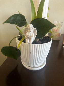 White Ceramic Planter with Philodendron and Angel Figurine