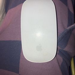 Apple Bluetooth Wireless Mouse