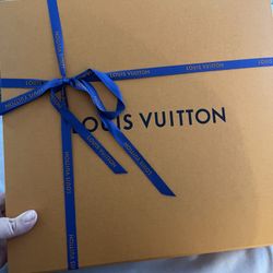 Brand new Louis Vuitton Bag 