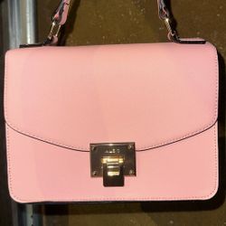 Aldo Pink Purse