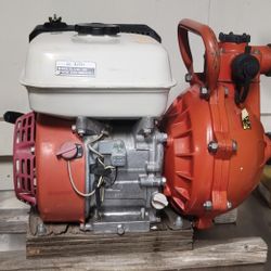 DAVEY  WATER PUMP