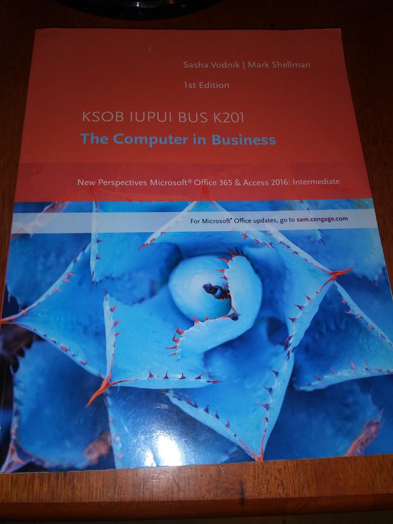 The Computer in Business book$25