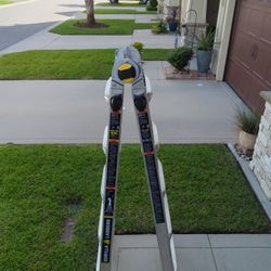 Gorilla A-frame Extension Ladder Type 1A 300 Lb 