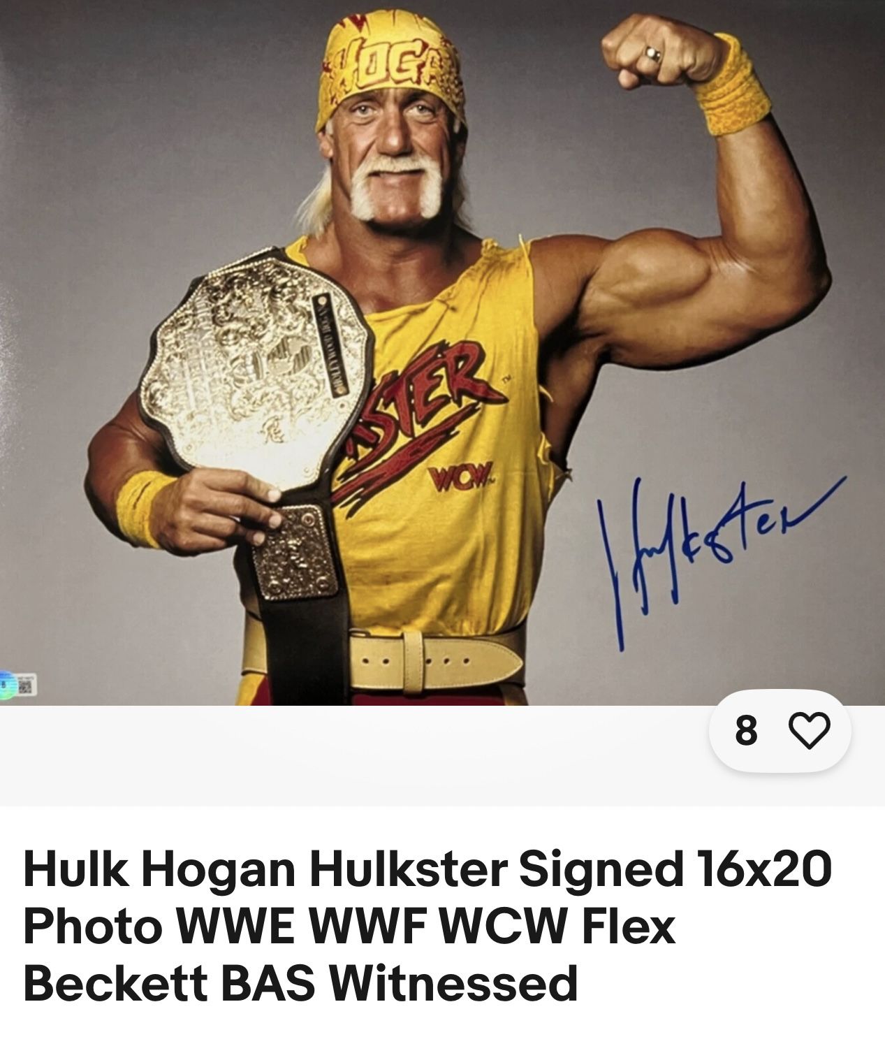 Hulk Hogan Poster
