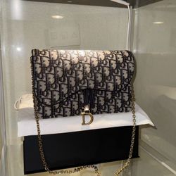 Dior Oblique Saddle Bag