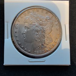 1883 Morgan Dollar