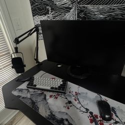 gaming setup