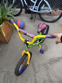 Ninja Turtle Bike