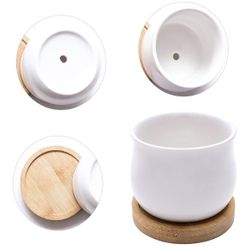 Succulent 6 Piece White Ceramic Pots With Bamboo Tray's.