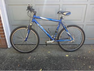 Giant Boulder SE