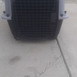 Cat Cage 