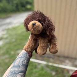Brown Dog Webkinz