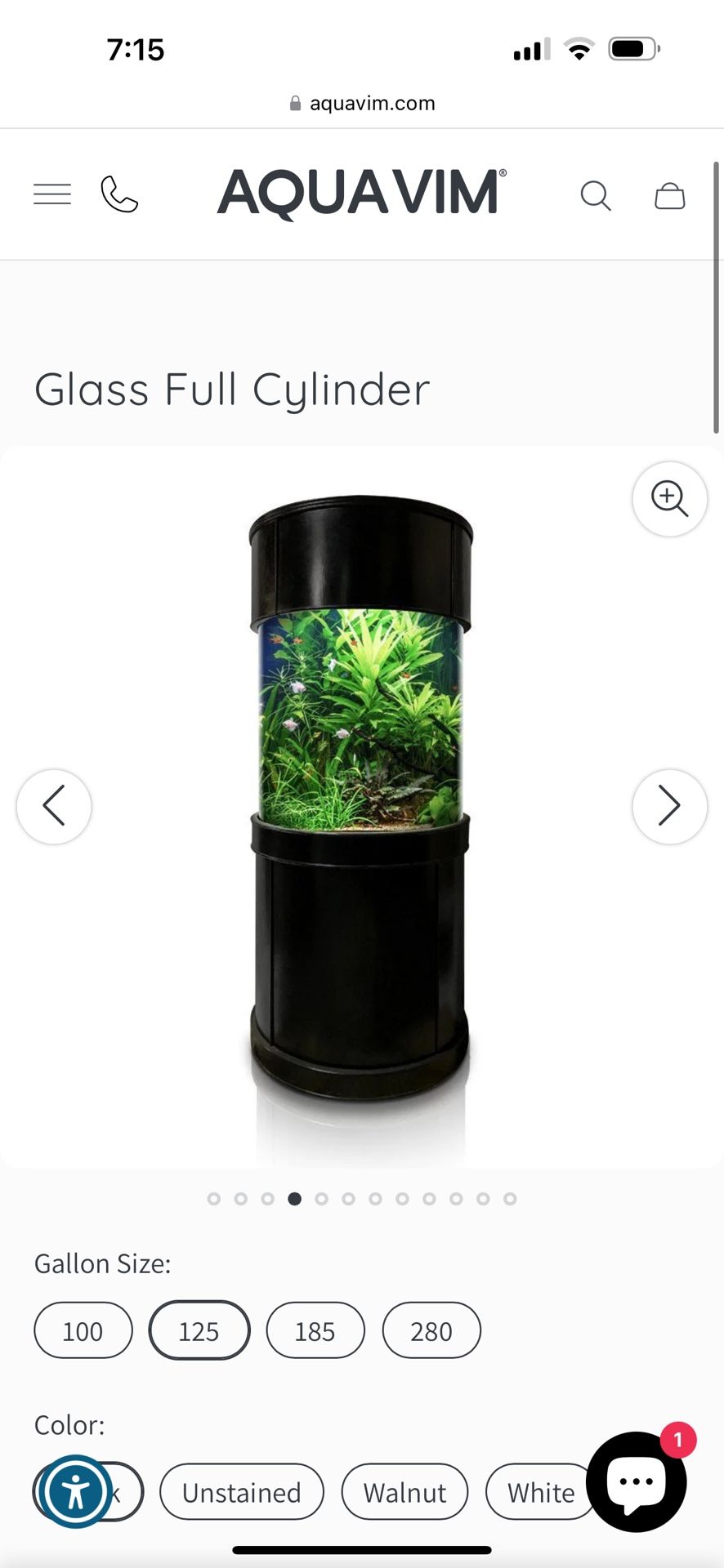 Custom Glass Aquarium 