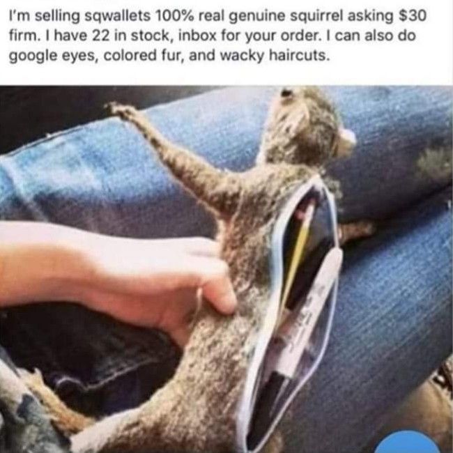 "squallets"