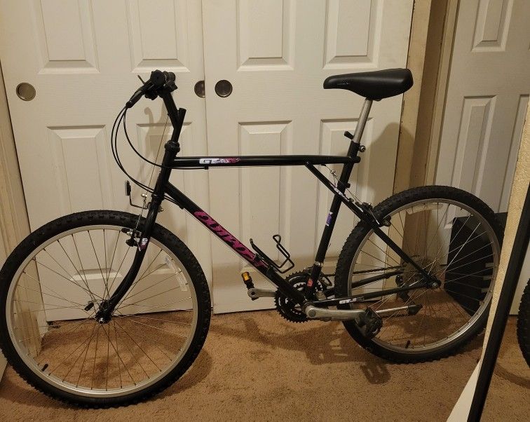 GT Mountain Bike