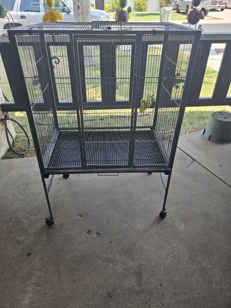 Bird Cage