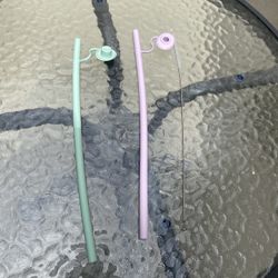 Reusable Silicone Straw With Brush 