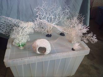 Fish tank decor