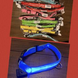Brand New  Dog Collar Led Size XL (Free Shipping)