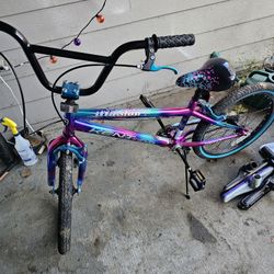 New 20" Girls Bike UP Pu