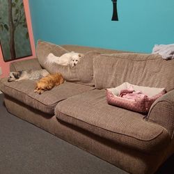  Free Sofa Bed