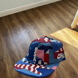 Nike SB x Parra Olympic Games Hat