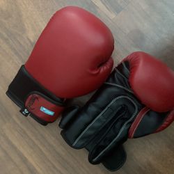 Karate gloves - kids