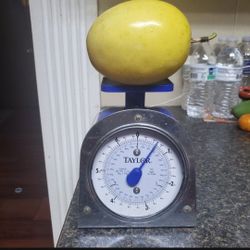 Passion Fruit Plants 