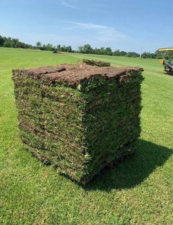 🌱 Fresh sod for sale
