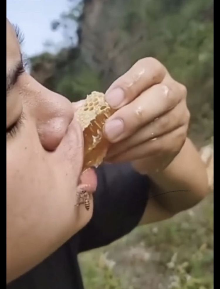 Miel orgánica 100 %pura. Bee Polen