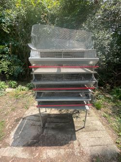 Quail pen