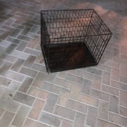 Cage For Sell