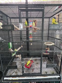 Cages