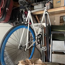 Fixie Bike