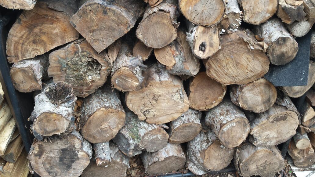Apple firewood for sale