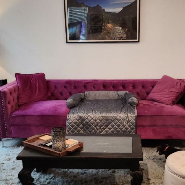Violet Velvet Couch