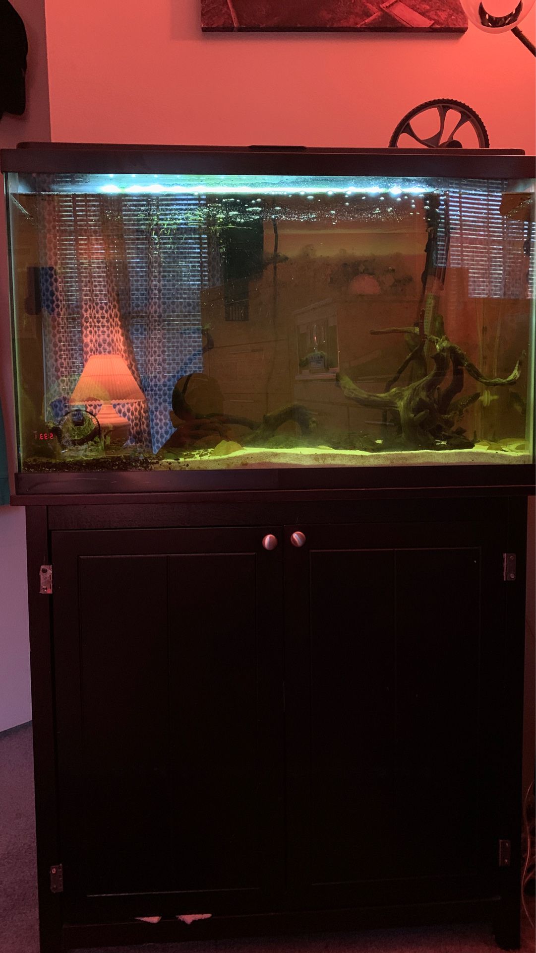45 Gallon Fish Tank (stand+many accessories)