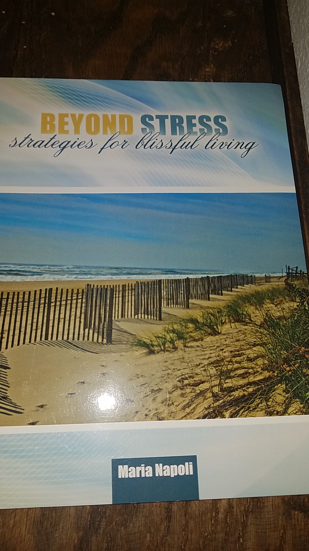 Beyond Stress Strategies for Blissful Living by Maria Napoli