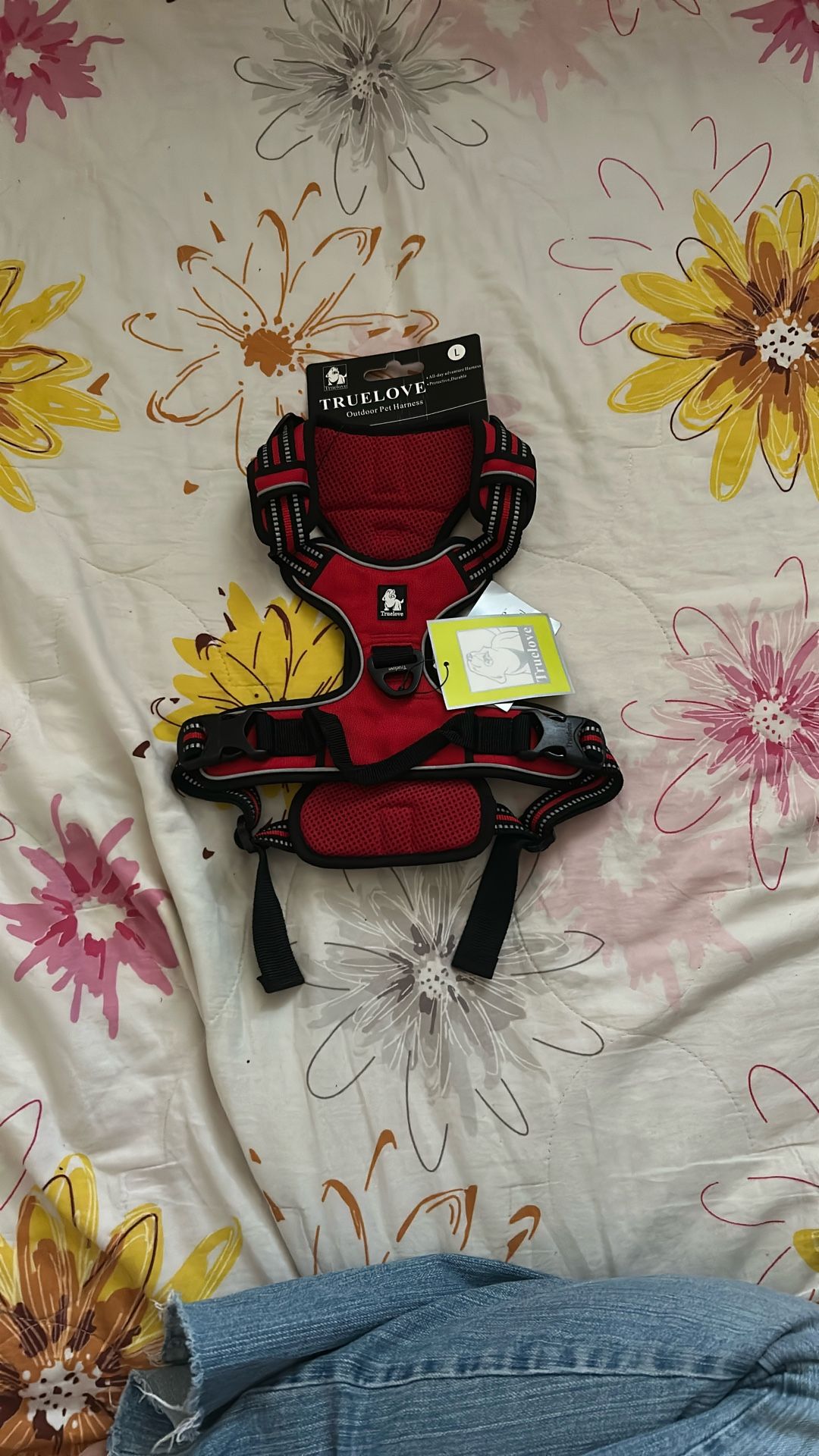 dog harness
